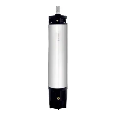 10" MTSF Submersible Motor (Select Type)