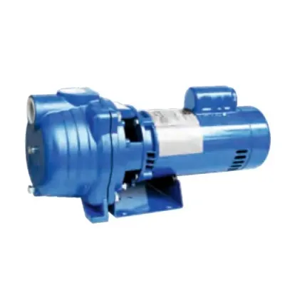 1 HP Centrifugal (Irrigation) Pumps Motor Type SPCP10
