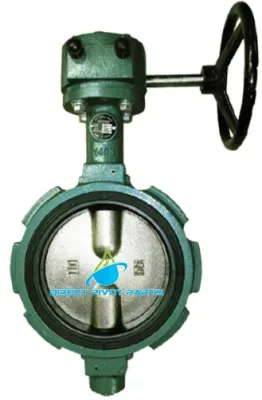 2" Ductile Iron Butterfly Valve Gear