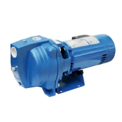 Shallow Well Jet Pumps (Select Type)