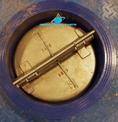 10" Ductile Iron Wafer Check Valve