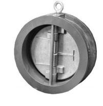 Cast Iron Wafer Check Valve Stainless Steel Disc